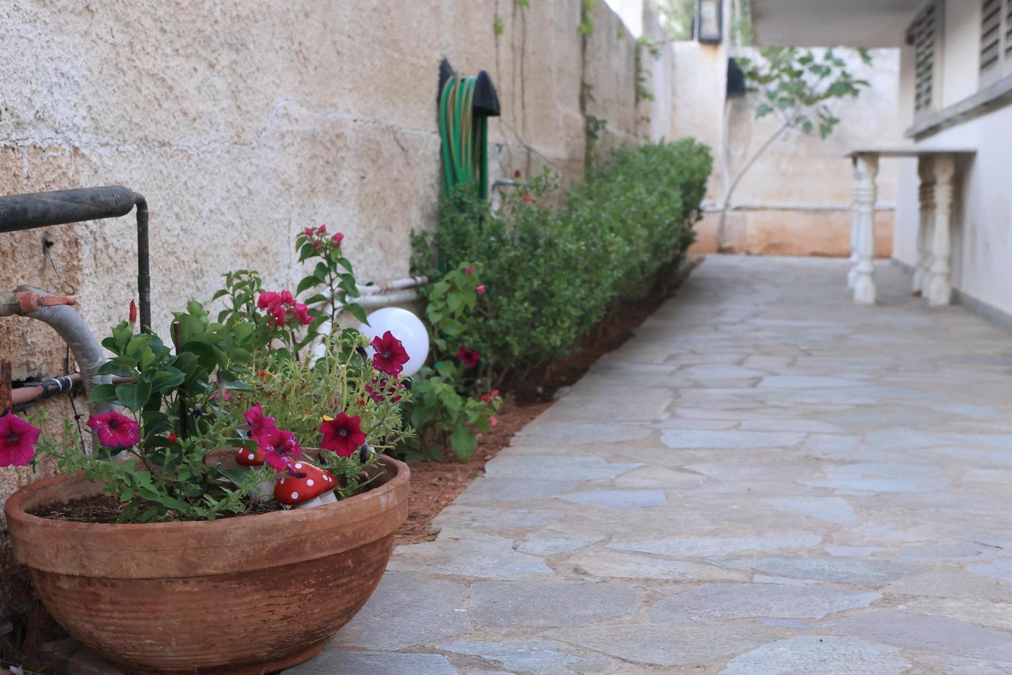 Secret Garden Home Lagonissi Attiki Foinikia  Exterior photo